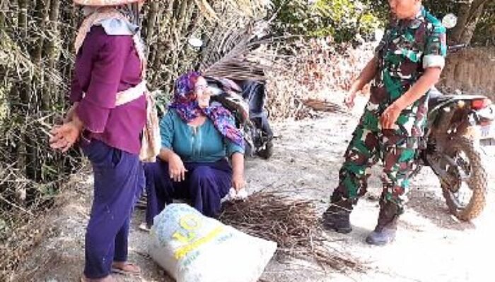 Jalan TMMD Reguler 118 Kodim 0713 Brebes, Permudah Akses ke Hutan dan Ladang