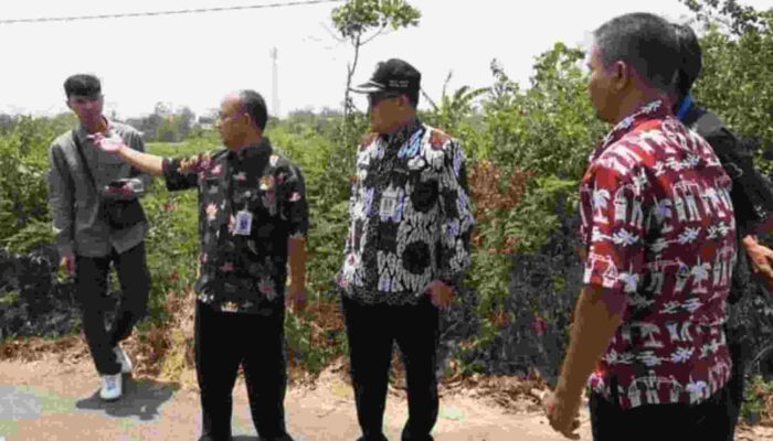 Respon Cepat Bupati Pemalang, Ruas Jalan Nyamplungsari – Asemdoyong Segera Diperbaiki