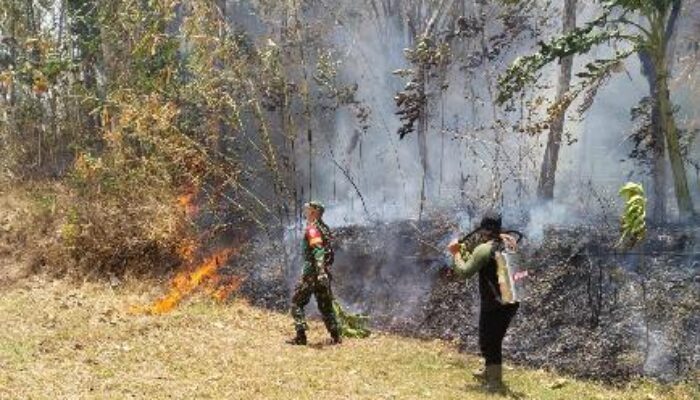 Kebakaran Melalap Satu Hektar Kebun Jati Milik Warga di Bantarkawung