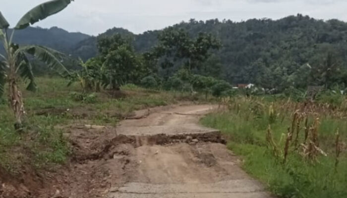 Akibat Hujan Deras, Akses Jalan Desa Bodas Menuju Kecamatan Watukumpul Putus