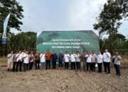 Kunjungan Kerja dan Tanam Perdana, Dirut Holding PTPN III (Persero) ke PTPN I Regional 4