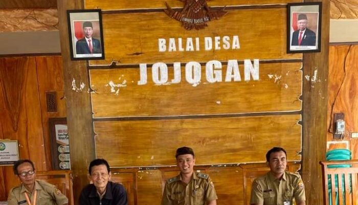 Mengungkap Makna Mistis Wedus Kendit di Balik Ritual Sedekah Bumi Desa Jojogan