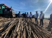 Pabrik Gula SGN, Sudah Siap Memulai Giling 2024