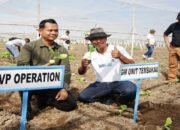 PTPN I Regional 4 Tanam Perdana Tembakau Bawah Naungan Tahun 2024 di Jember