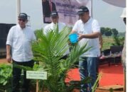 Tanam Perdana Kelapa Sawit, Denny Ramadhan : “Kita Tanam dengan Akhlak”