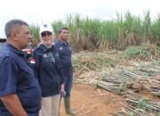 Direktur Operasional PTPN I Apresiasi Tebu PT BCN