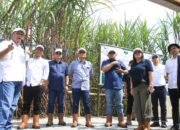 Panen Perdana Tebu Bersama Kementerian BUMN, Region Head PTPN I Regional 4 : Optimis Protas Sentuh Angka 100 Ton/Ha