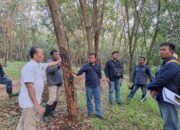 Direktur Operasional PTPN I Kunjungi Unit Kebun Regional 3