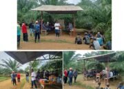 Ngobrol Pintar (Ngopi) bersama Region Head Regional V, “Refreshment Aplikasi Pemupukan”