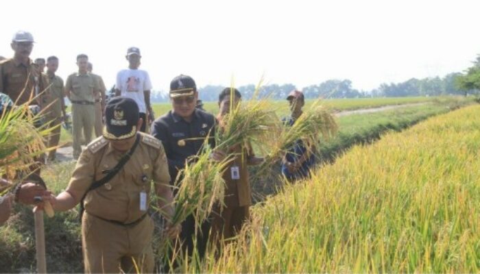 Bupati Pemalang Dorong Adopsi Teknologi Pertanian untuk Gaet Generasi Muda