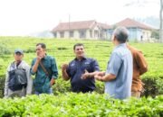 Merajut Asa Membingkai Prestasi, Direksi PTPN I Langsungkan Kunjungan Kerja ke Kebun Kaligua