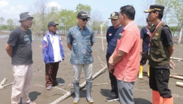 Pjs Bupati Pemalang Tinjau Pembangunan Tanggul Sementara di Desa Blendung, Siap Dukung Penanggulangan Rob