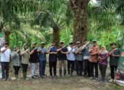 Kunjungan Direktur Utama PalmCo ke Kebun Percobaan NUSAKlon PT RPN PPKS : Dorong Produktivitas dan Inovasi Berkelanjutan