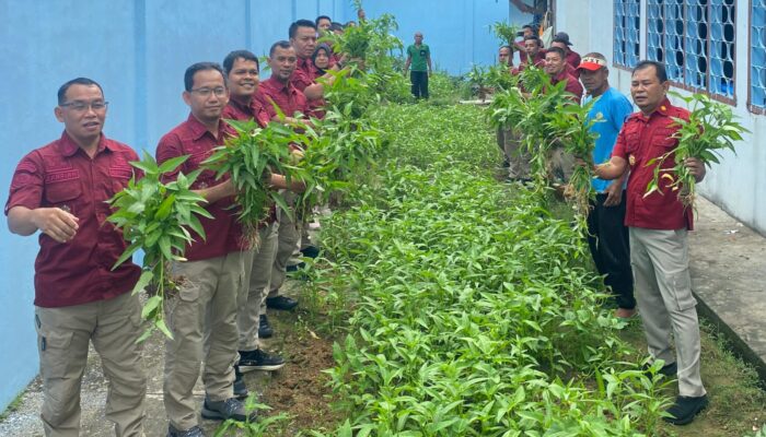 Panen Sayur Kangkung Oleh Kalapas Sungailiat Dalam Rangka Ketahanan Pangan