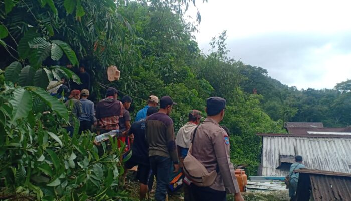 Pohon Tumbang di Pekalongan Timpa Dua Rumah Warga Depok