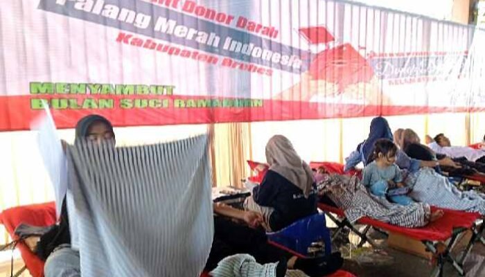 Jelang Ramadhan  Stok Darah PMI Brebes Aman