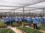 Tingkatkan Kompetensi dan Produktivitas Kebun, PTPN IV Regional VII Gelar In House Training