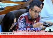 Rizal Bawazier Anggota Komisi VI DPR-RI Soroti Biaya Perizinan Nelayan Mahal Di Dapil X Jawa Tengah, Minta Kemendag Bertindak.