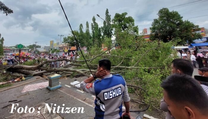Pohon Beringin Tumbang Saat Sholat Idulfitri di Pemalang, Dua Jemaah Meninggal, Belasan Luka-Luka