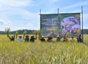 Bupati Pemalang Ikuti Vicon Panen Padi Serentak Bersama Presiden Prabowo Subiant