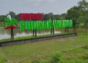 Embung Pudak Wangi, Pesona Wisata Alam dan Mancing di Benowo Park Desa Penggarit