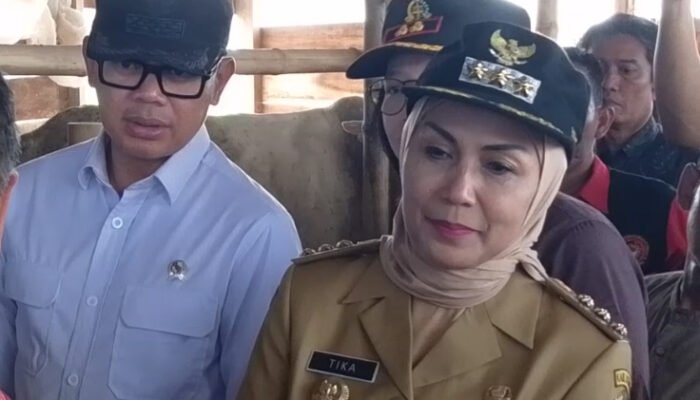 Tinjau Kesiapan Pendirian Koperasi Desa Merah Putih Wamendagri Ke Desa Margorejo