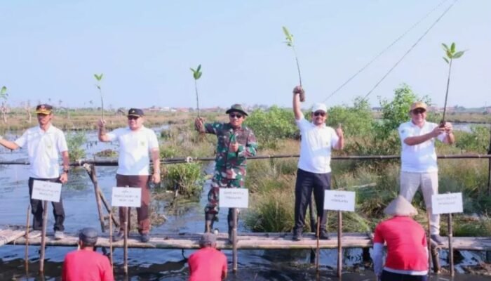 Bupati Pemalang ‘Mageri Segoro’, Ribuan Mangrove Ditanam Lindungi Pesisir dari Abrasi