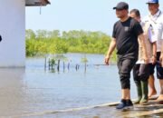 Pemprov Jateng Luncurkan Program Mageri Segoro untuk Rehabilitasi Mangrove dan Hutan Pantai