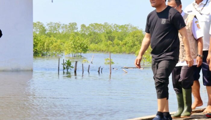 Pemprov Jateng Luncurkan Program Mageri Segoro untuk Rehabilitasi Mangrove dan Hutan Pantai