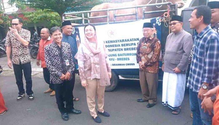 Bupati Brebes Serahkan Sapi Kurban Prabowo ke Takmir Masjid Baiturahim