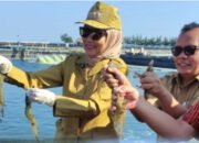 Komoditas Udang Asal Kabupaten Kendal Tembus Pasar Amerika Serikat
