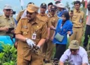 Bupati Pemalang Optimis Kentang Clekatakan Siap Saingi Dieng