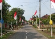 Semarak HUT RI ke-80 di Desa Pantianom: Ratusan Sangsaka Merah Putih Berderet Megah di Sepanjang Jalan Dusun I.