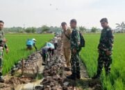 Dandim 0711/Pemalang Tinjau Pembangunan Irigasi untuk Dukung Ketahanan Pangan