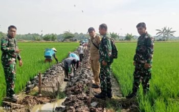 Dandim 0711/Pemalang Tinjau Pembangunan Irigasi untuk Dukung Ketahanan Pangan