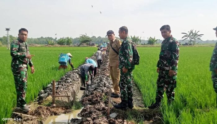 Dandim 0711/Pemalang Tinjau Pembangunan Irigasi untuk Dukung Ketahanan Pangan