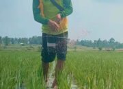 Kepala DPP Kabupaten Kendal: Penggunaan Pupuk Organik Di Kabupaten Kendal Masih Sangat Kecil