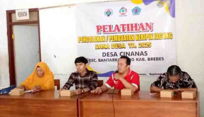 UMKM Desa Cinanas Gelar Pemberdayaan: Jagung Kering Diolah Jadi Keripik Berkualitas