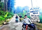 Aksi Tanam Pohon Pisang Warga Dk Kali Kidang Pandansari Brebes, Protes Jalan Rusak Tak Kunjung Diperbaiki