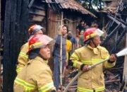 Si Jago Merah Ngamuk di Bantarbolang, Lahap Dua Rumah di Bantarbolang