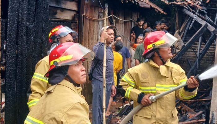 Si Jago Merah Ngamuk di Bantarbolang, Lahap Dua Rumah di Bantarbolang