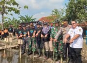 Kodim Pemalang Partisipasi Tanam 143 Ribu Bibit, Wujud Nyata Program ‘Mageri Segoro’ Jateng