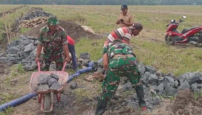 Pra TMMD Sengkuyung Tahap IV Kodim 0711/Pemalang Dimulai di Sukorejo