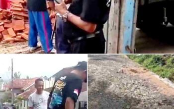 Warga Desa Ciputih, Salem, Protes Jalan Rusak Selama 16 Tahun, Gelar Aksi Tanam Pohon Pisang