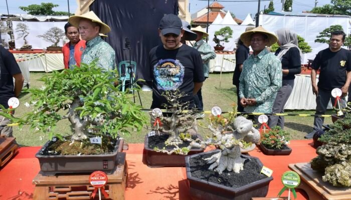 Ratusan Pecinta Bonsai Seluruh Nusantara Meriahkan Kontes Nasional Bonsai Pemalang Bercahaya