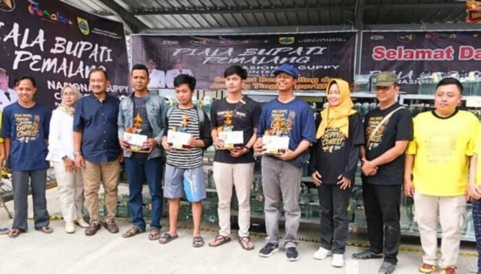 Guppy Contest Nasional 2025 di Pemalang, Ajang Prestasi Pecinta Ikan Hias