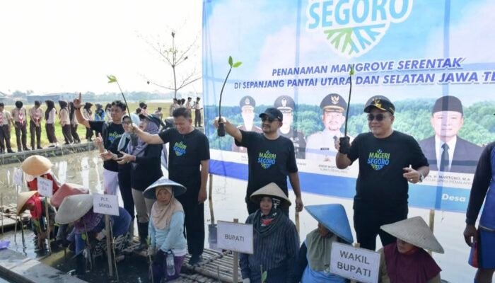 Perangi Krisis Iklim, Pemalang Tanam 134 Ribu Mangrove Lewat Gerakan “Mageri Segoro”