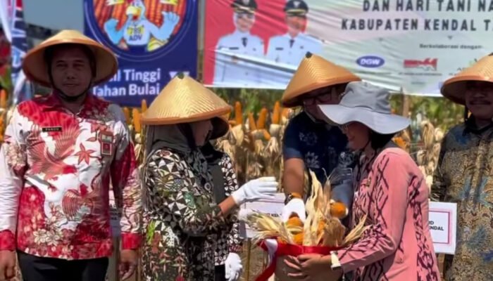 Panen Raya Jagung Tandai Peringatan Hari Pangan Sedunia 2025 Di Kabupaten Kendal