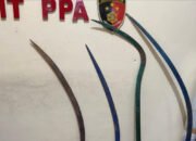 Hendak Tawuran Gunakan Senjata Tajam Tiga Remaja Di Kendal Diamankan Tim UKL Polres Kendal