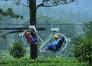 PTPN I Regional 2 Maksimalkan Aset Alam Jadi Sumber Nilai Tambah Baru bagi Holding Perkebunan Nusantara